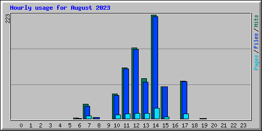 Hourly usage for August 2023