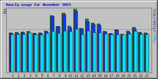Hourly usage for November 2023