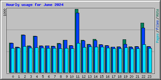 Hourly usage for June 2024