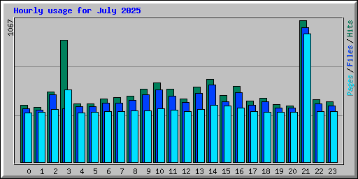 Hourly usage for July 2025