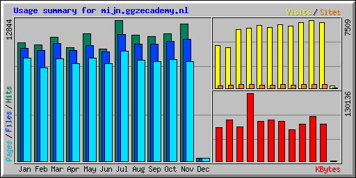 Usage summary for mijn.ggzecademy.nl