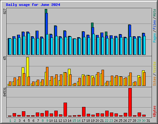 Daily usage for June 2024